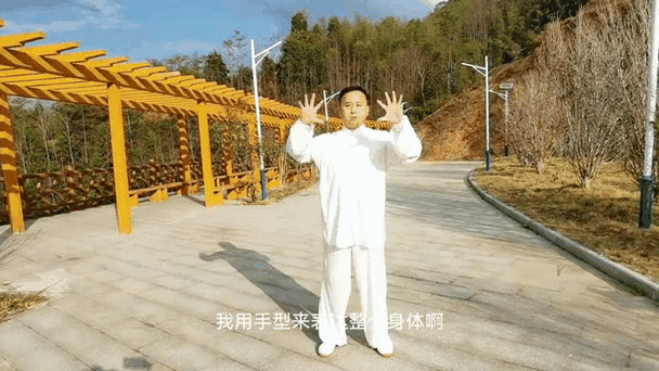 站桩十六字金诀缩略图