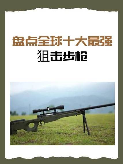 全球顶级高精度狙击枪