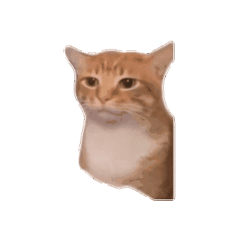 meme猫表情包GIF缩略图