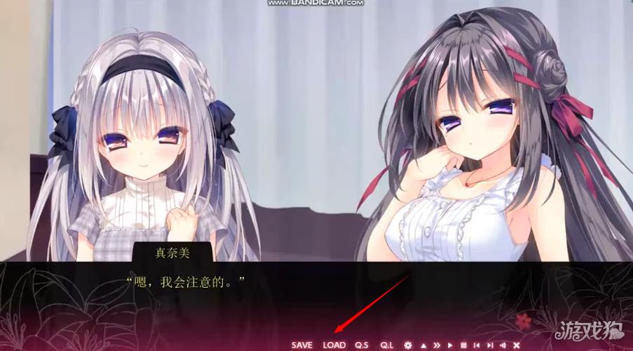 galgame存档在哪个文件夹图标