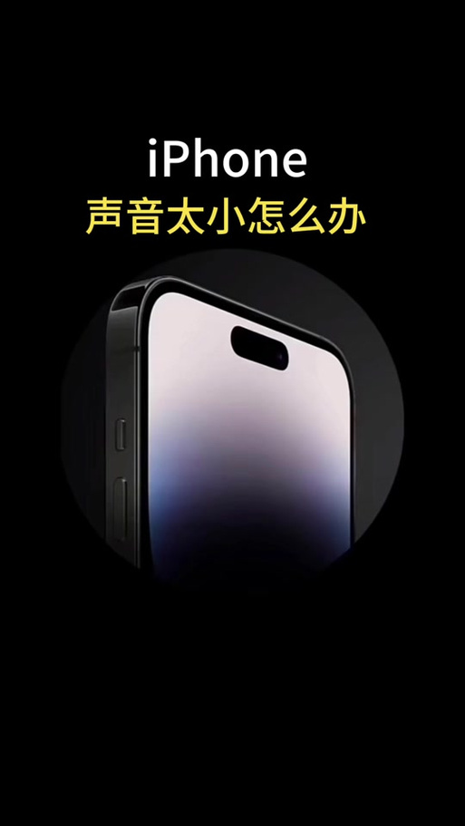 苹果11刷抖音没声音图标