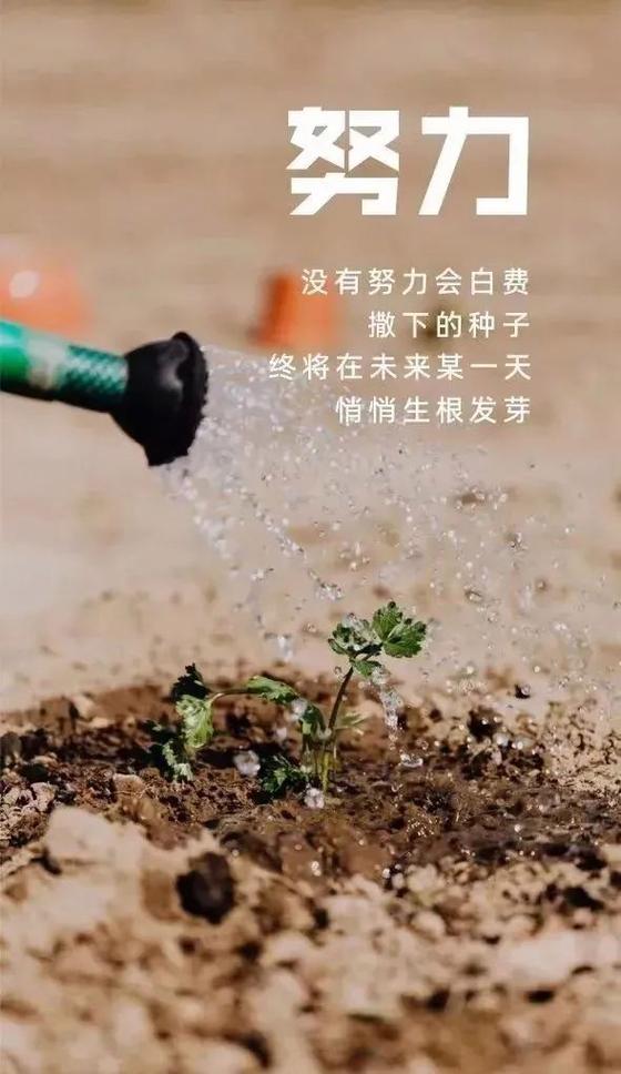 正能量短句图标