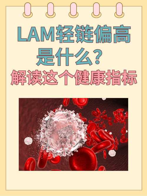 轻链是什么意思游戏截图