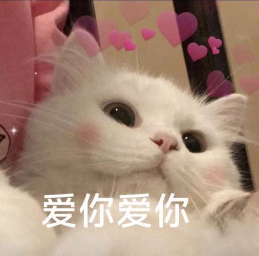 女人发爱你表情包暗示游戏截图