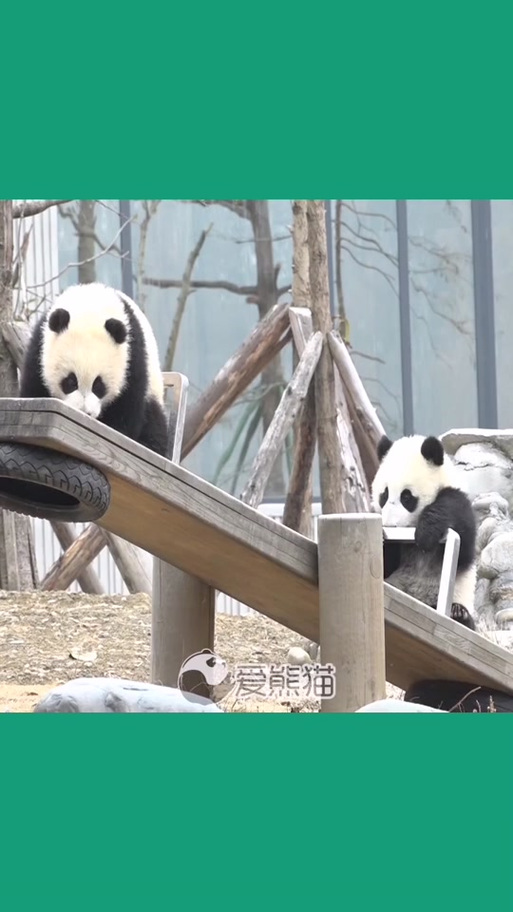 熊猫玩app下载安装