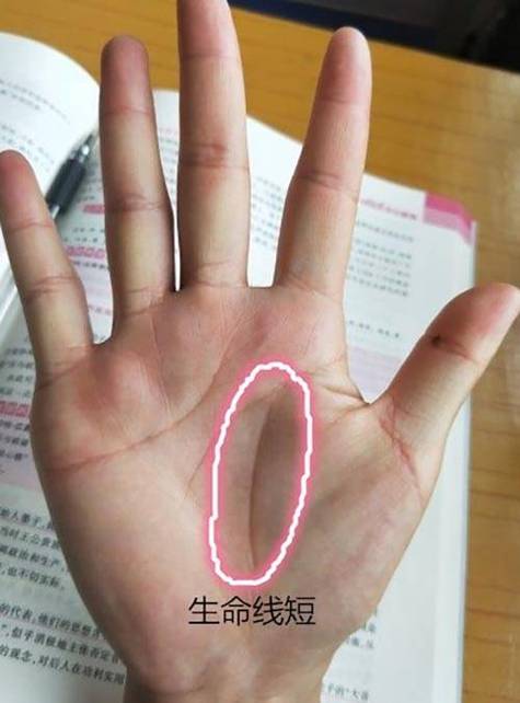 对异性有吸引力的女人手相