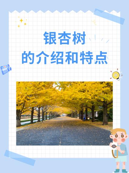 银杏的资料介绍短一些