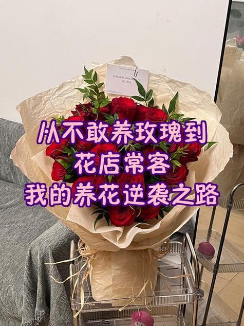 我的逆袭之路鲜花数缩略图