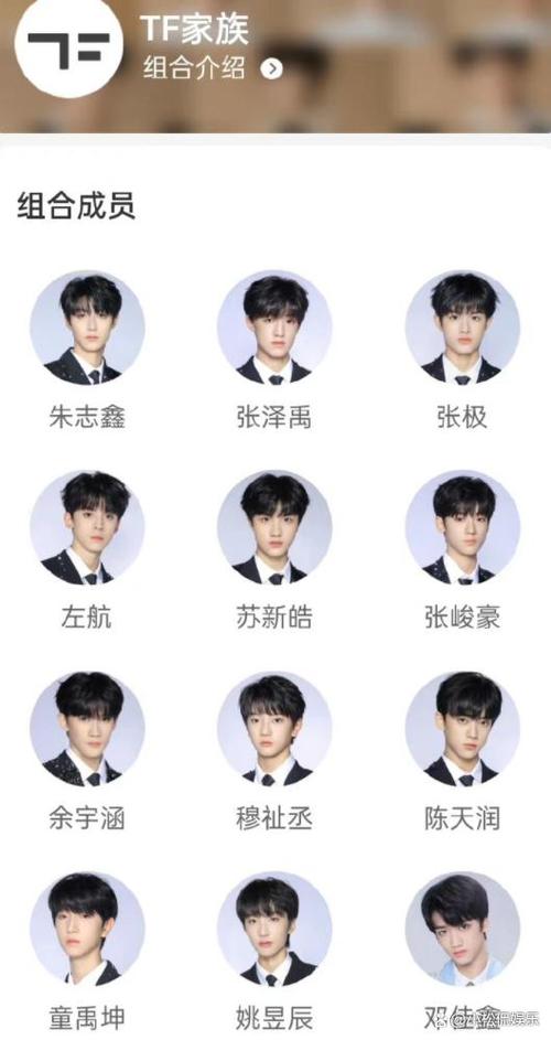 怎么才能加入tf家族