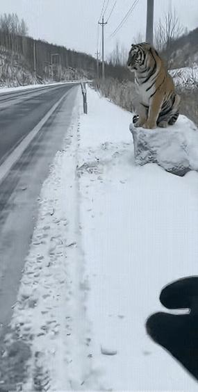 granny3雪天模组缩略图