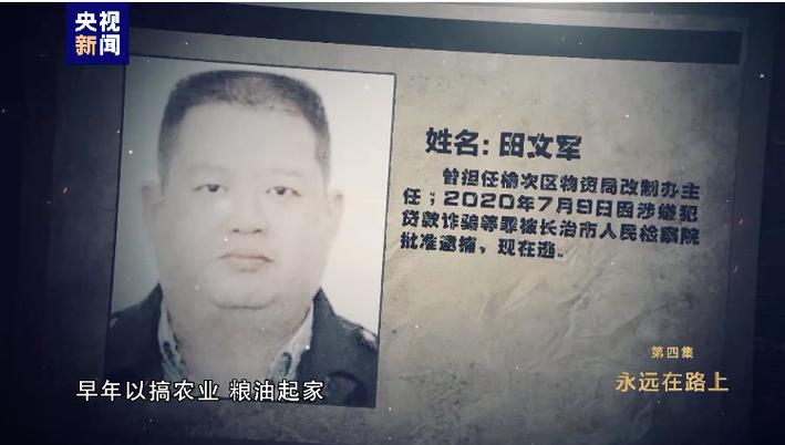 田文军涉足的金融行业