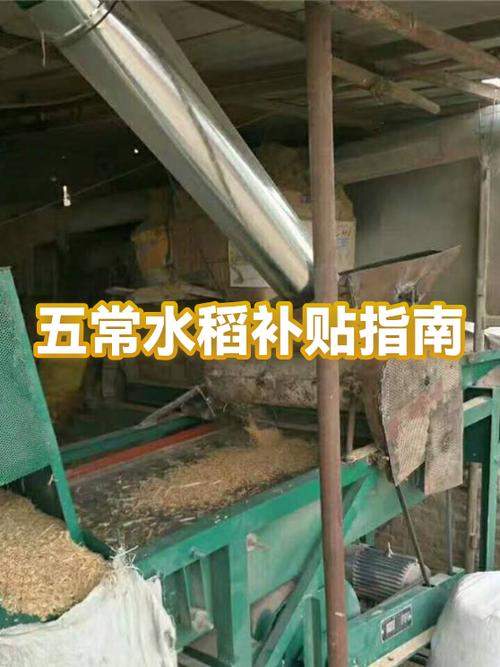 农业补贴查询入口