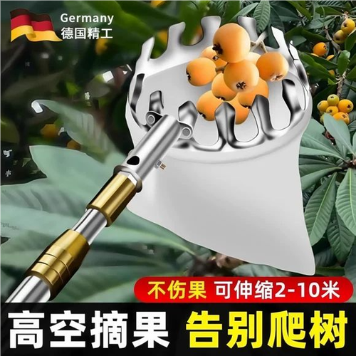 word中的复选框怎么打勾