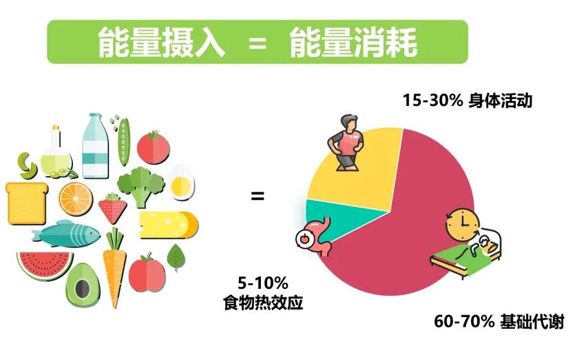 每日三餐能量分配比例
