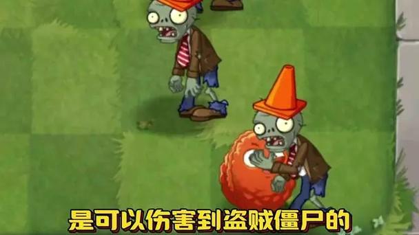 植物大战僵尸隐身僵尸怎么对付图标