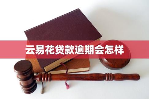 云易花贷款缩略图