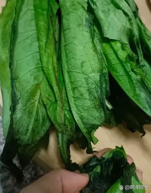 女生说坏菜了暗示什么