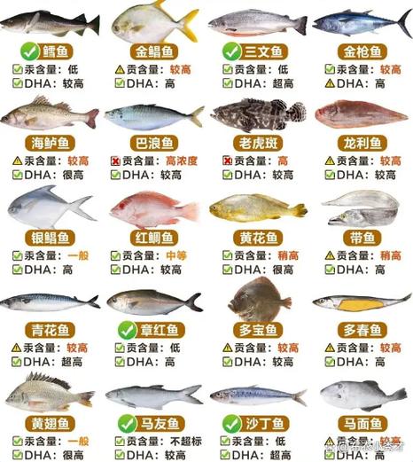海鱼的品种大全及图片缩略图