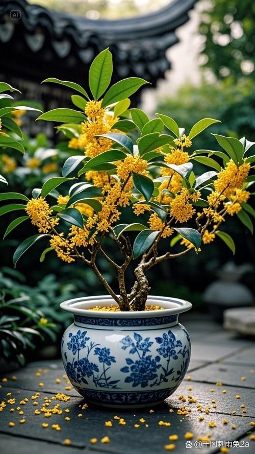 桂花的寓意和象征图标