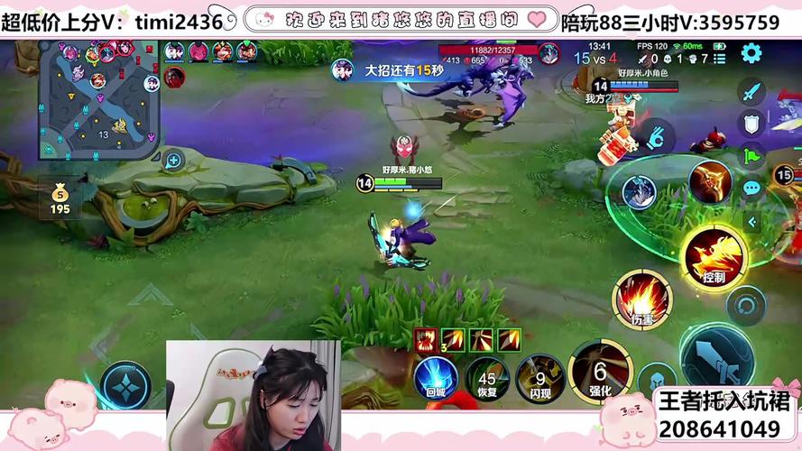 王者荣耀单机版内存小缩略图