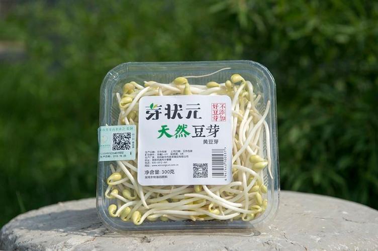 豆芽包装盒缩略图