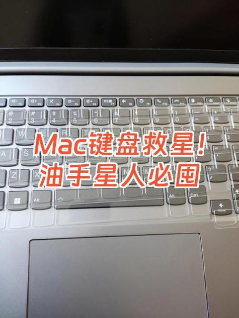 macbook无法打字缩略图