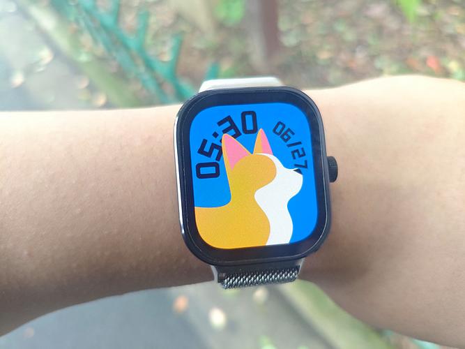 红米watch4心率准吗图标