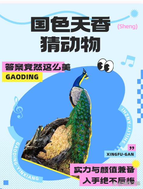 佳人打一最准确动物缩略图