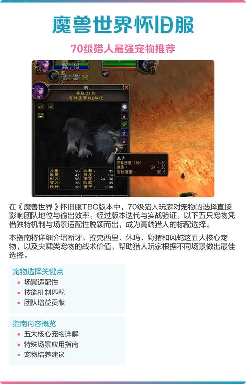 tbc70猎人必抓五只宠物