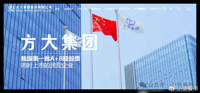 甘肃方大集团股份有限公司