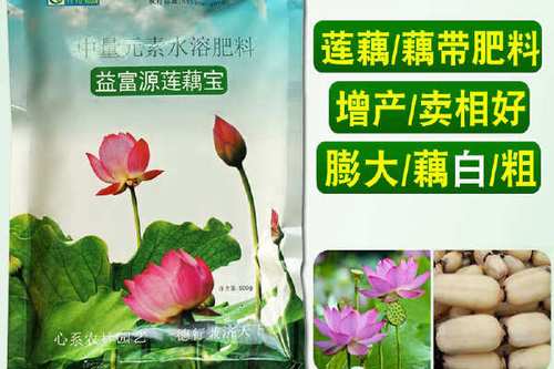 莲藕用什么肥料最好游戏截图