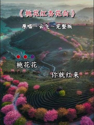 桃花也红了是什么歌图标