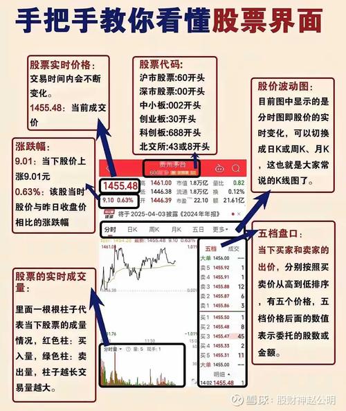 基金股票入门基础知识