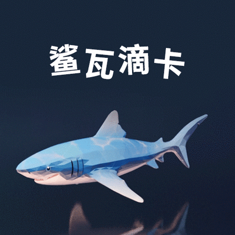 3ds精灵宝可梦xy游戏截图