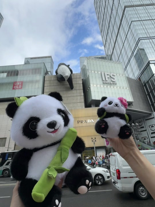 熊猫团购缩略图