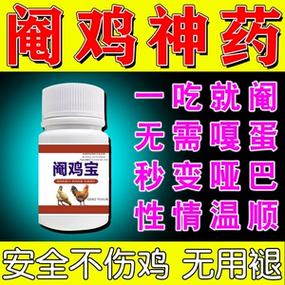 公鸡喂什么药不打架图标