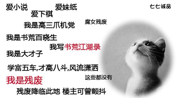 书荒吧图标