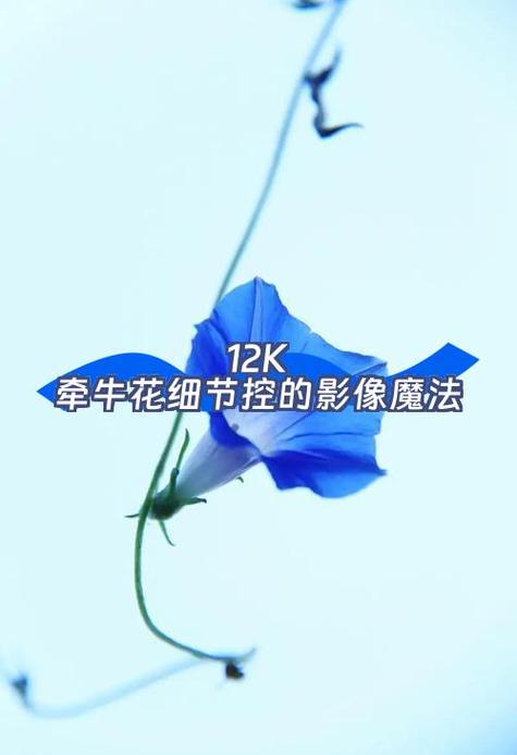 做视频软件游戏截图