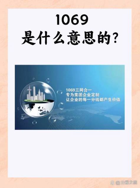 1069服务是啥意思图标
