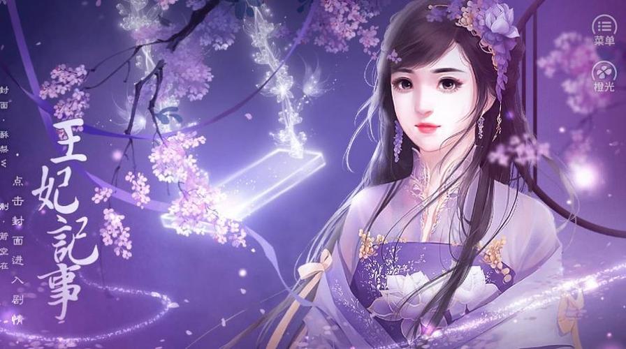 王妃记事特殊属性孩子
