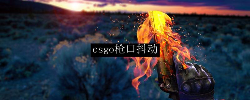 csgo枪口抖动关闭参数