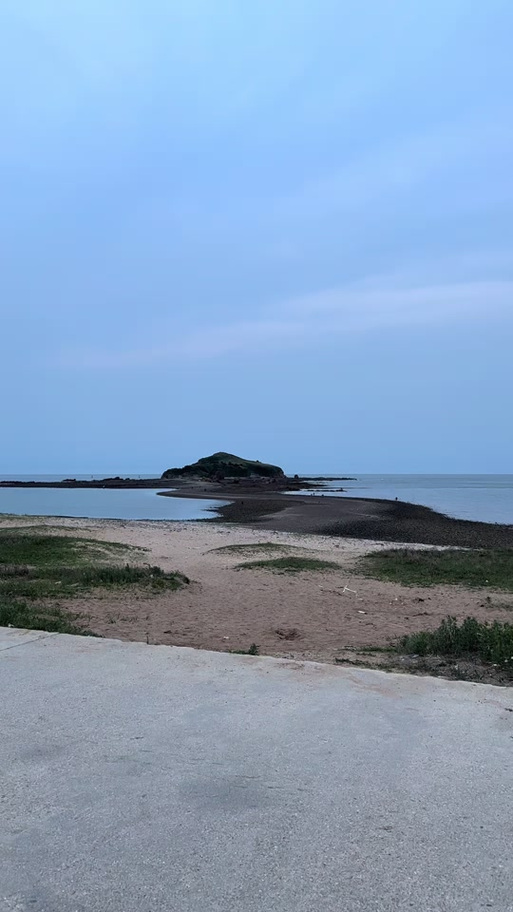 青岛牛岛图标