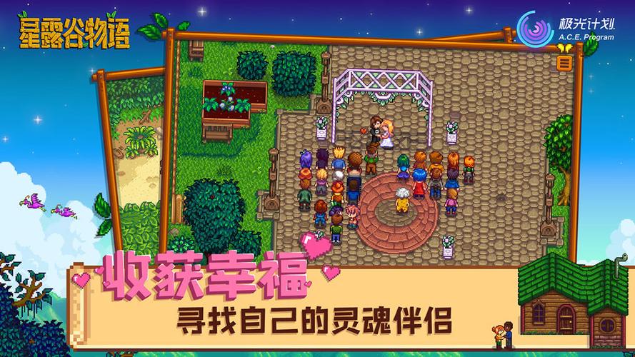 星露谷物语本地联机图标
