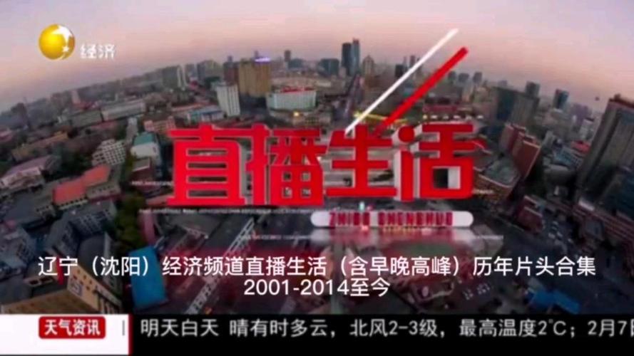 辽宁生活频道直播图标