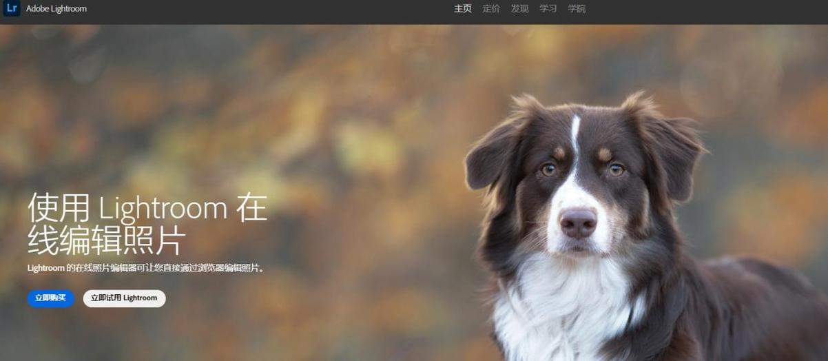 为什么竖拍的照片是横的图标