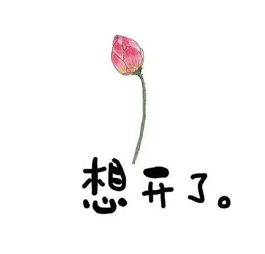 想图片大全图