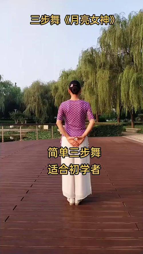 三步舞初学视频教程缩略图