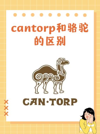 神秘的骆驼雕像怎么判断真假