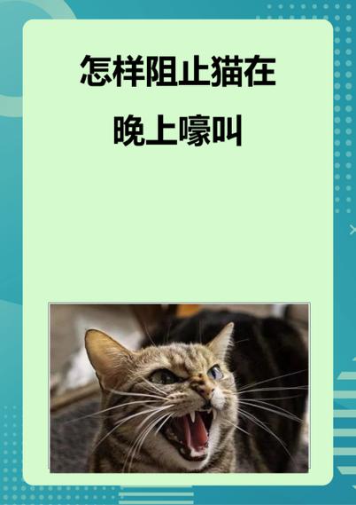 幼猫饿了一天一夜没事吧