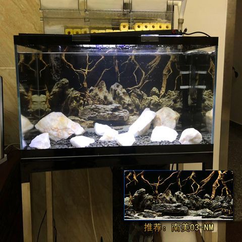 南美水族论坛官网游戏截图